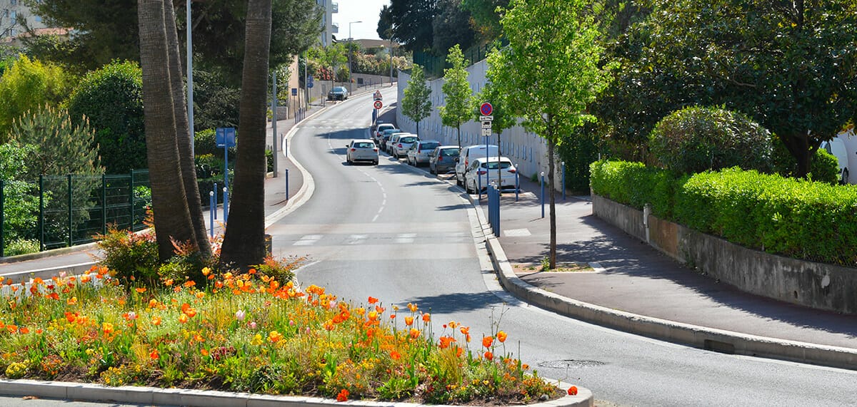 Avenue des Tuilières