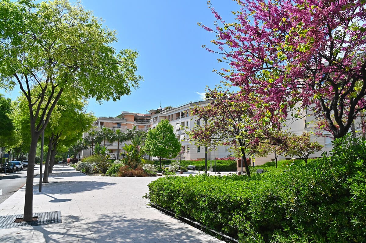 Le cours du Béal