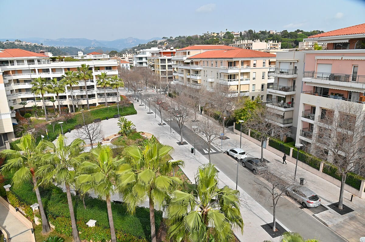 Vue du cours du Béal avec ses palmiers