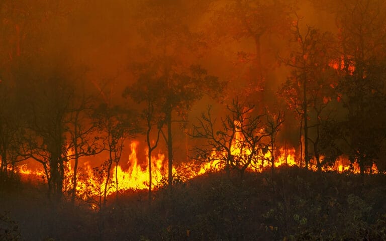 Incendie-cagnes-sur-mer