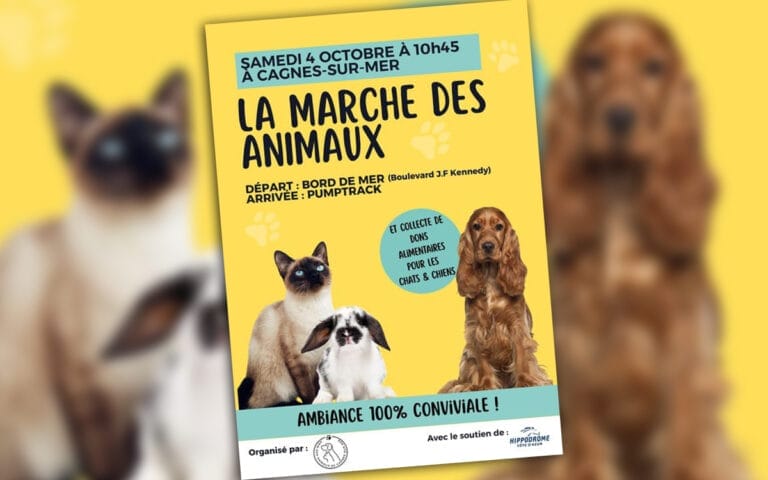 cagnes-marche-animaux