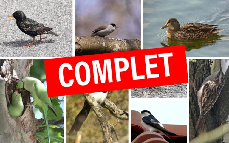 illust_LPO_25_octobre_complet