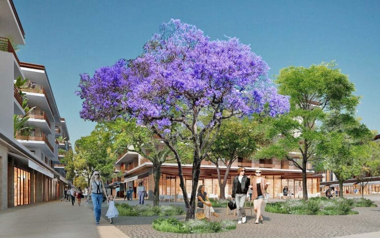 illust_canebiers_villette