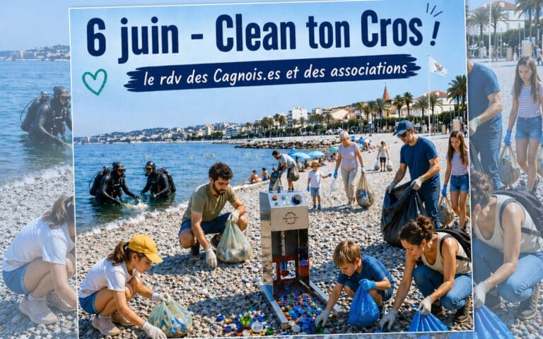 illust_clean_ton_cros_2026