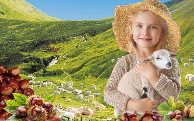 26e Fête de la Châtaigne